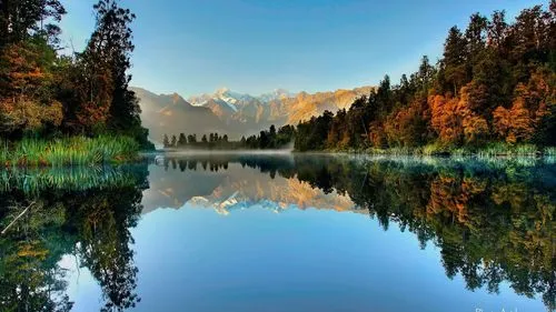 独特全自动